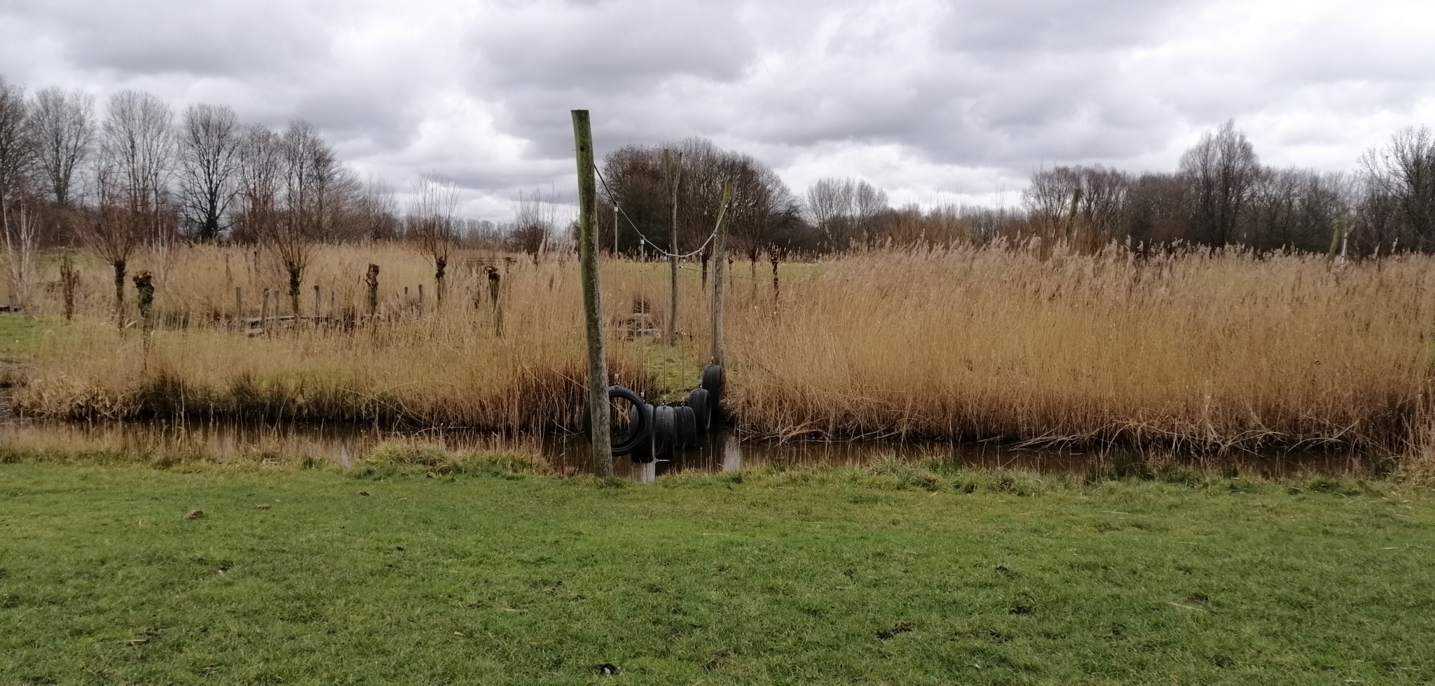 Natuurspeeltuin Tuin van de Smid Springzaad