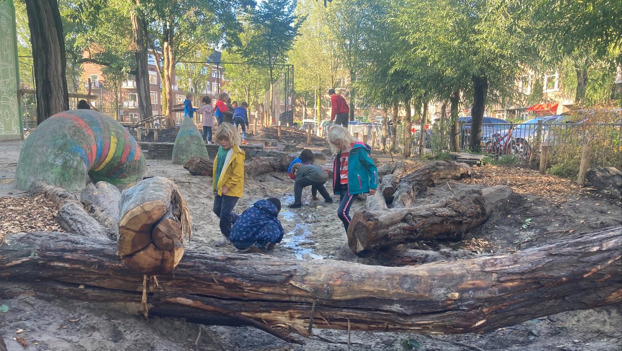 Cursusdag Kennismaken met groen/blauwe schoolpleinen Rotterdam