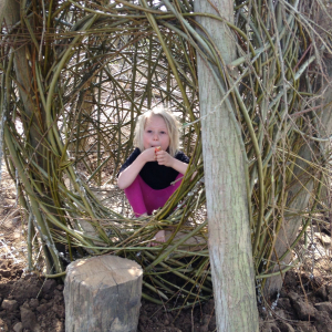 Themadag ‘Bouwen met wilgen in de tuin’